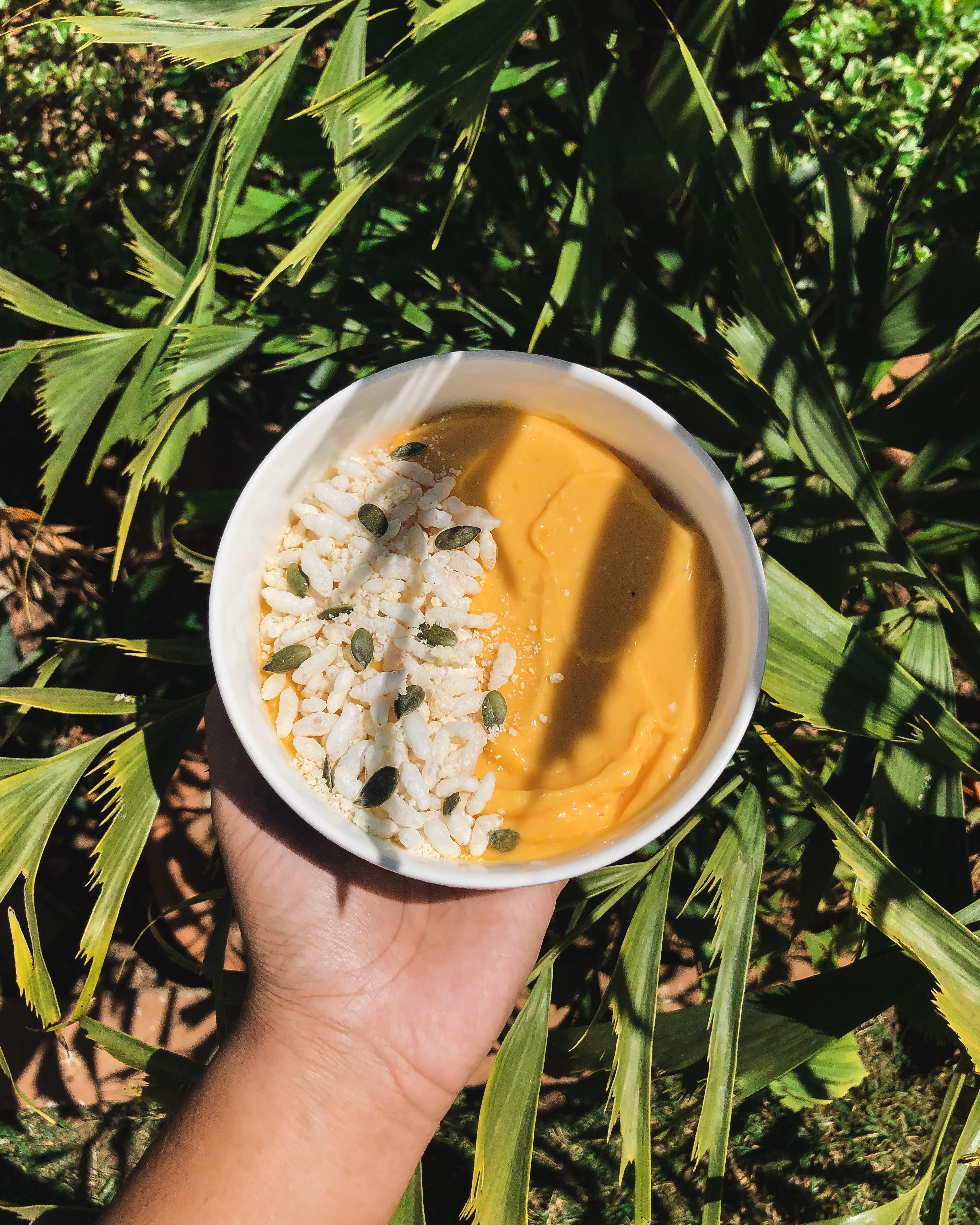 Nicecream à la papaye (sans banane)