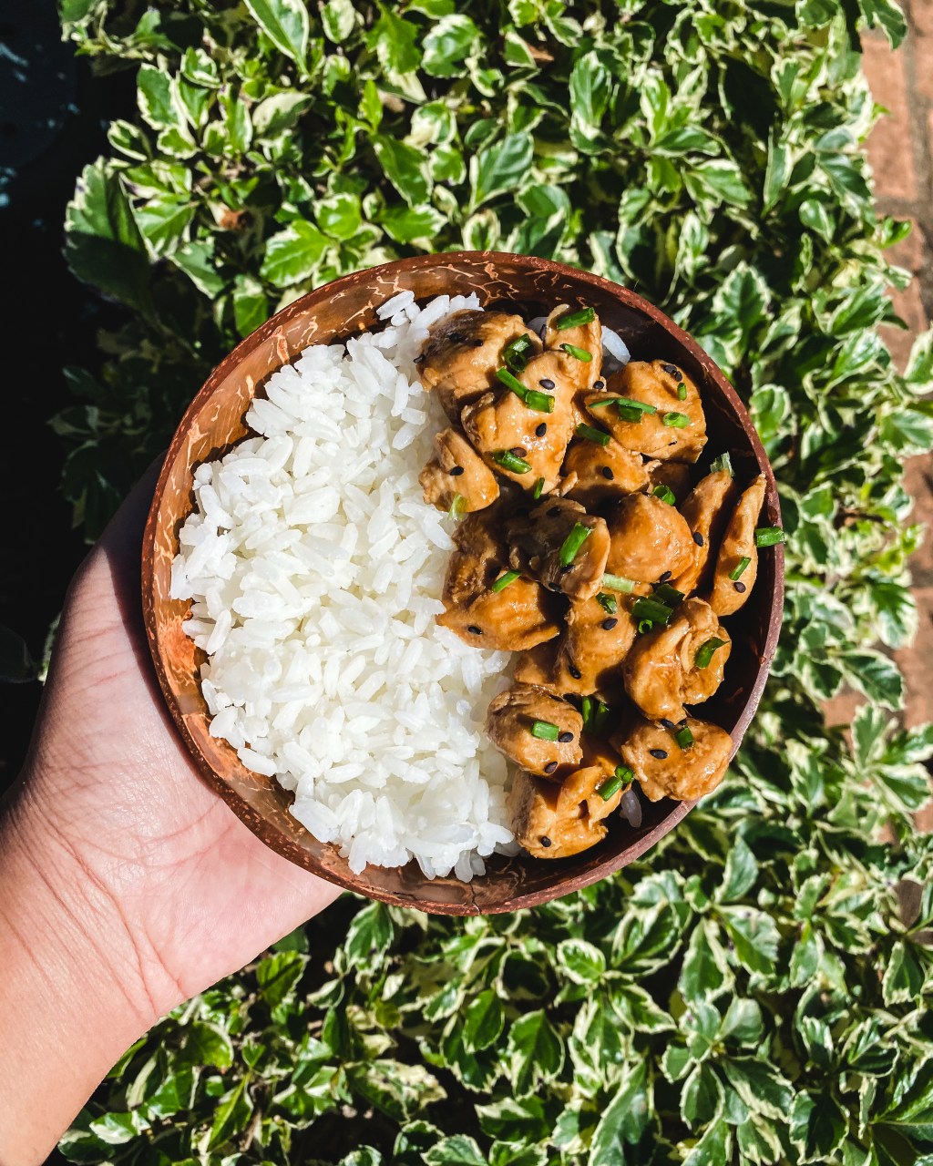 Poulet façon teriyaki&nbsp;rapide