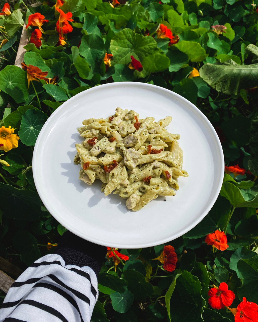 Pâtes crémeuses au pesto et&nbsp;poulet