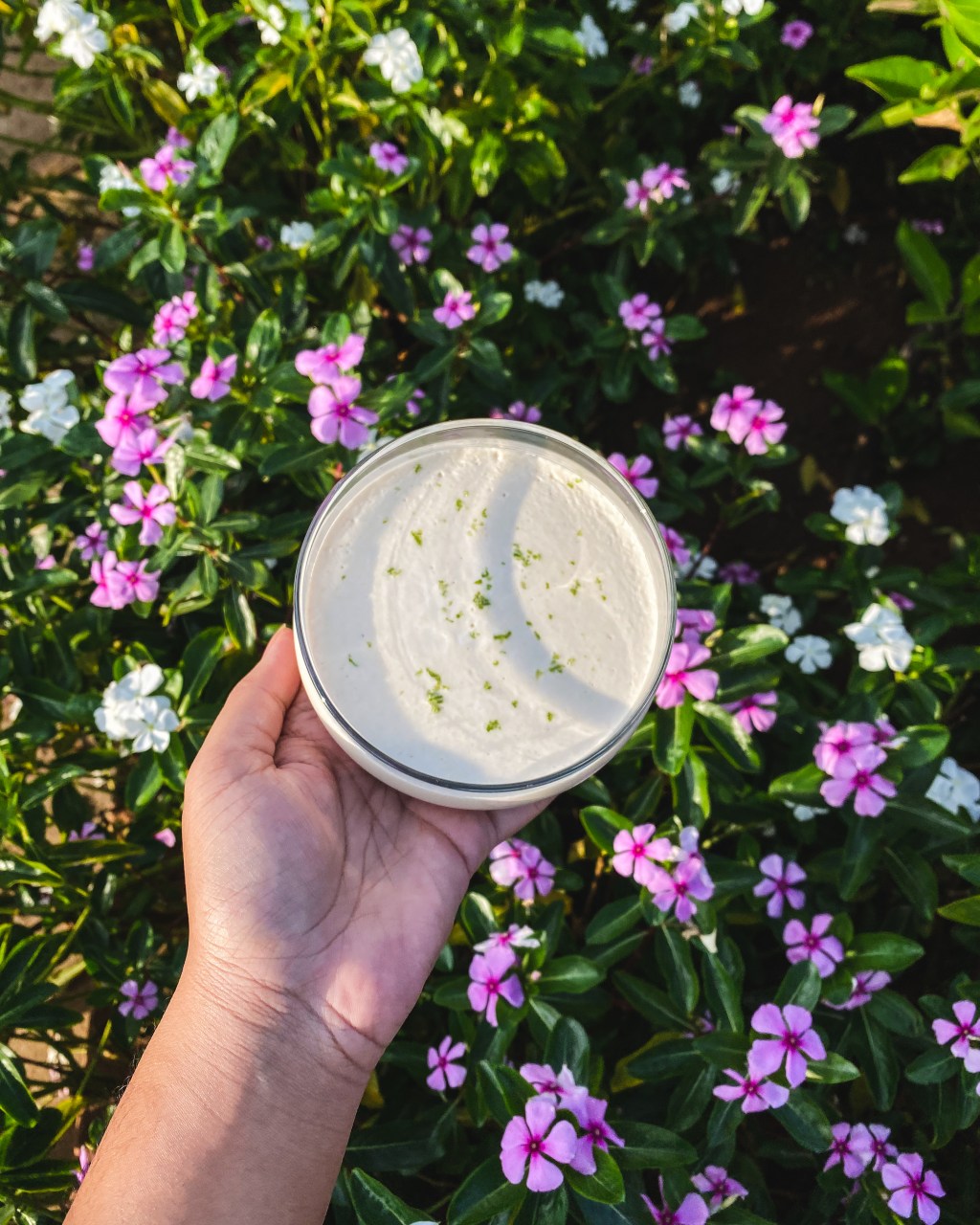 Mousse vegan au&nbsp;citron