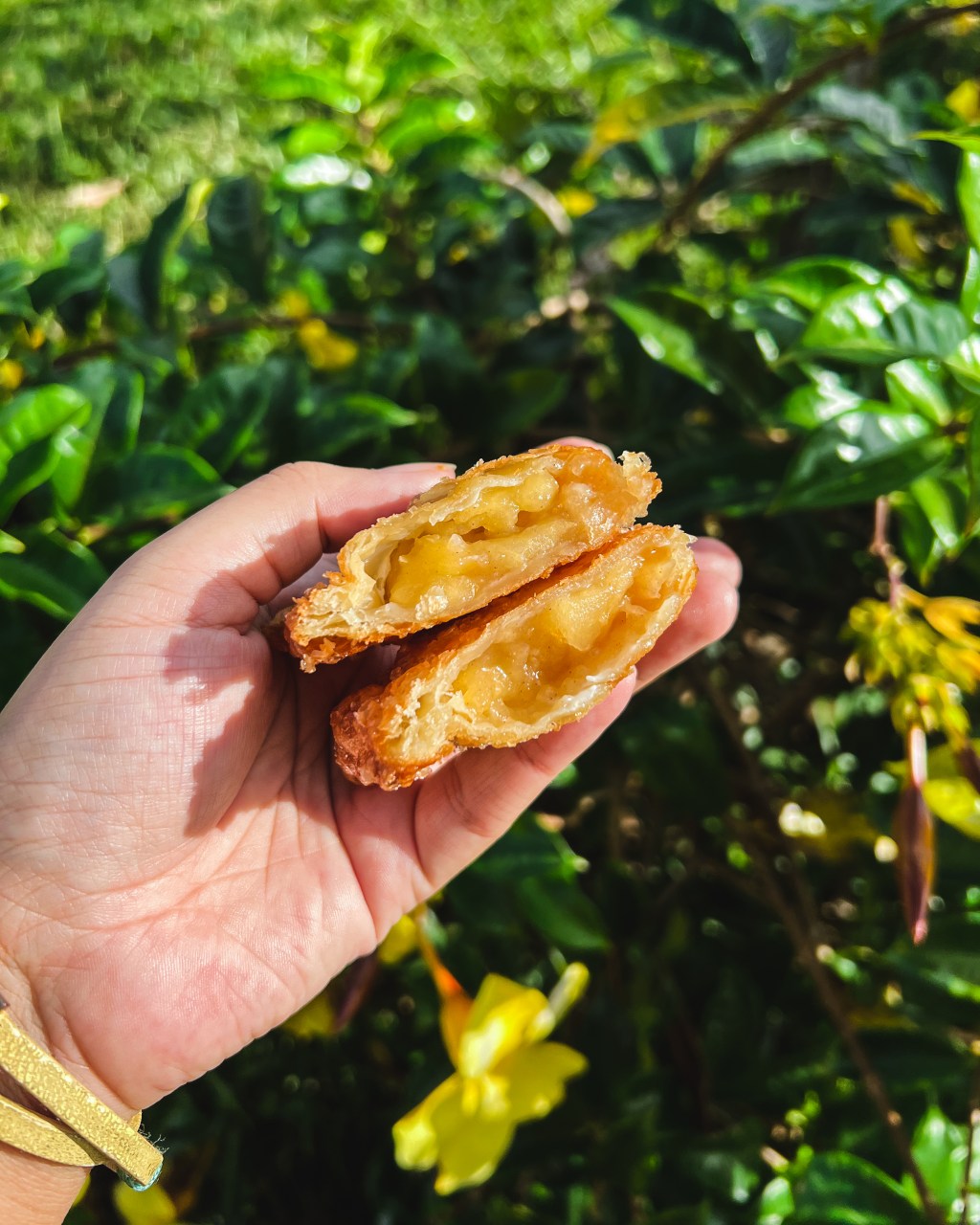 Chaussons aux pommes&nbsp;frits