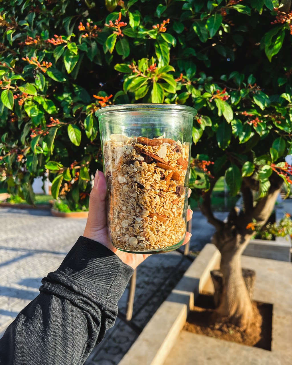 Granola – noix, coco,&nbsp;chocolat