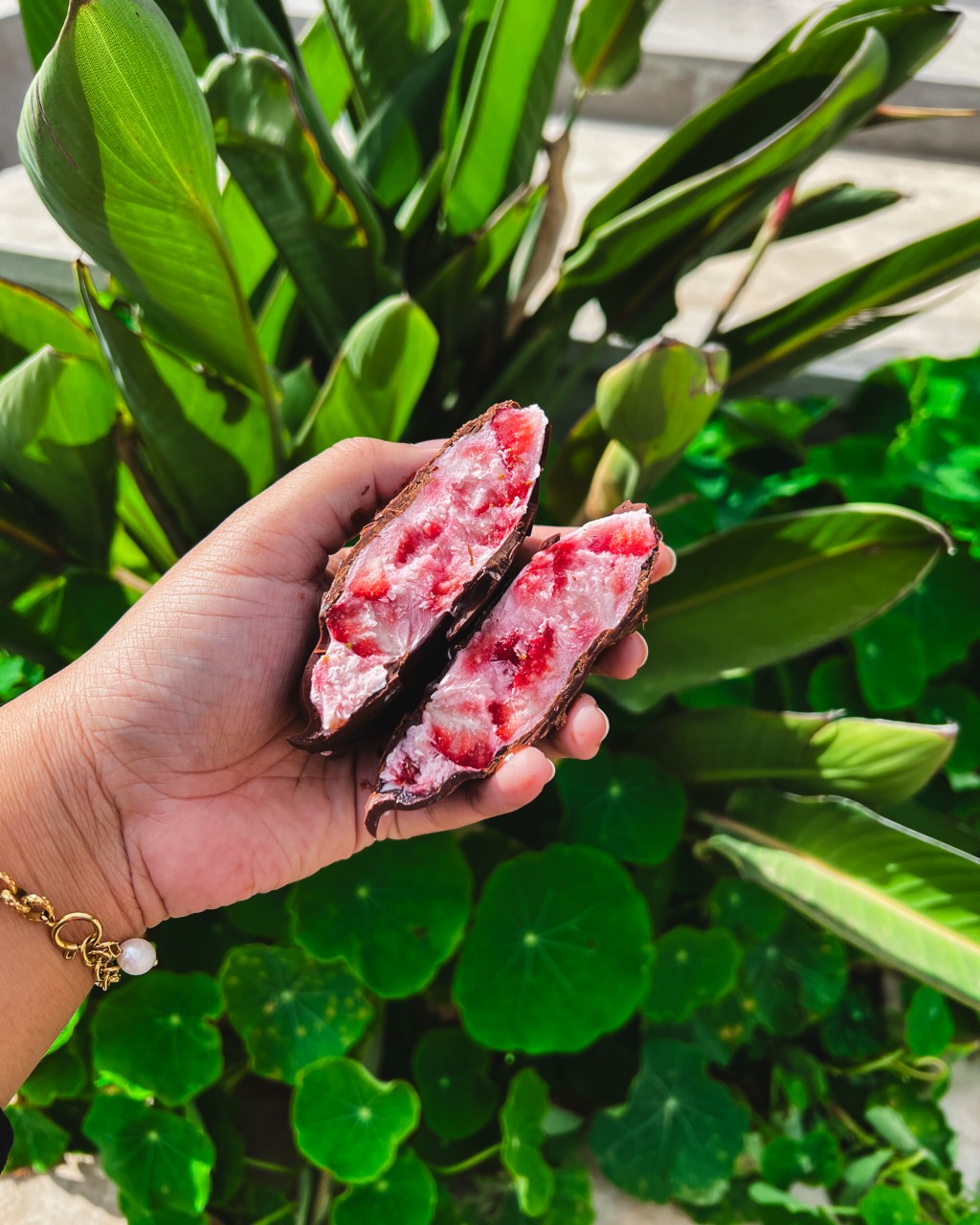 Fraises, yaourt et coque au&nbsp;chocolat