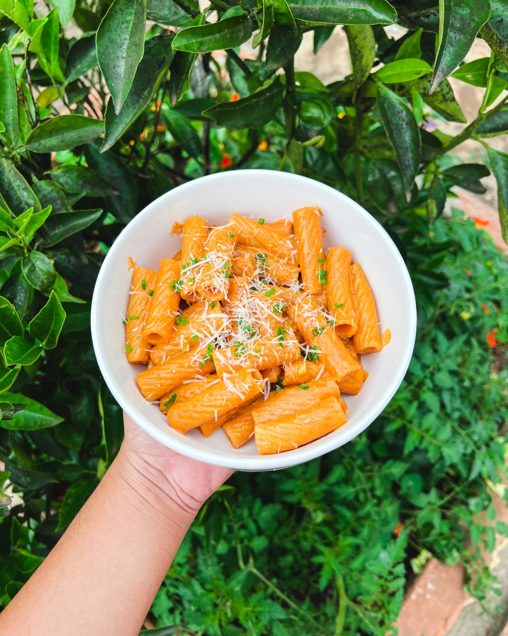 Gochujang pasta ou pâtes à la sauce&nbsp;gochujang