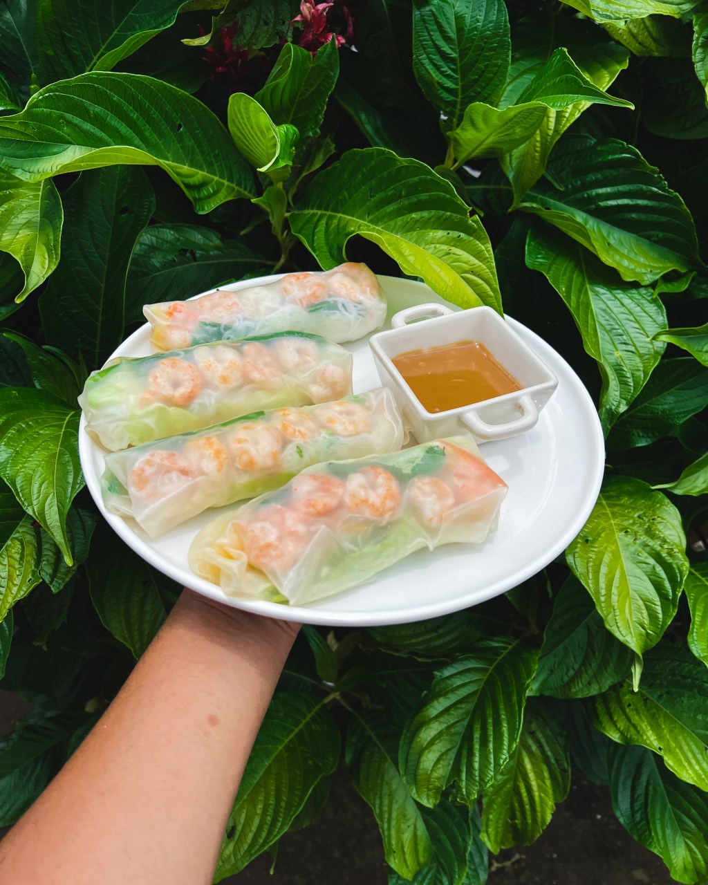 Rouleaux de printemps et sauce au beurre de&nbsp;cacahuète